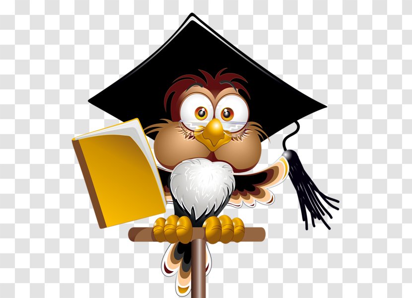 Owl Book Clip Art - Bird - Graduates Transparent PNG