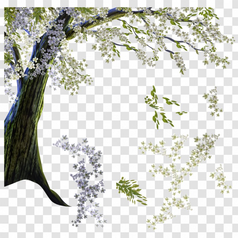 Tree Cherry Blossom Branch Flower Clip Art Transparent PNG