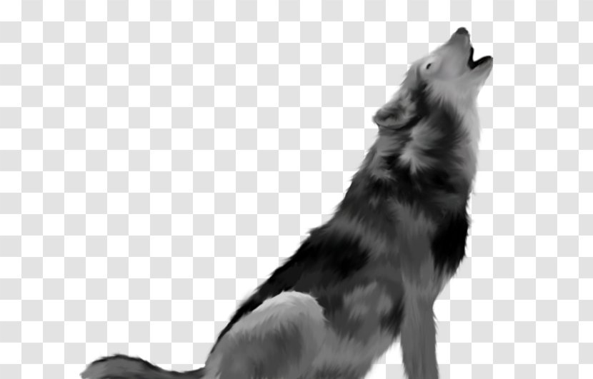 Dog Desktop Wallpaper - Snout - Wolf Transparent PNG