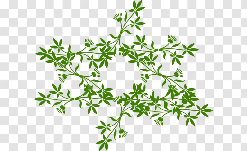 Flower Clip Art - Green - Olive Wreath Transparent PNG