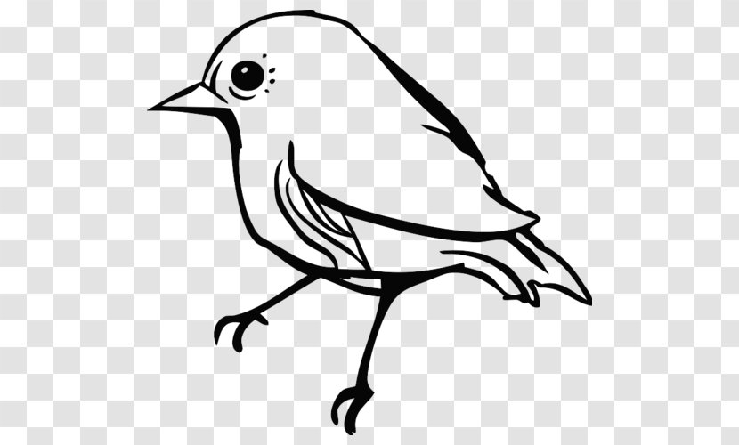 Bird Finches Parrot Beak Clip Art Transparent PNG