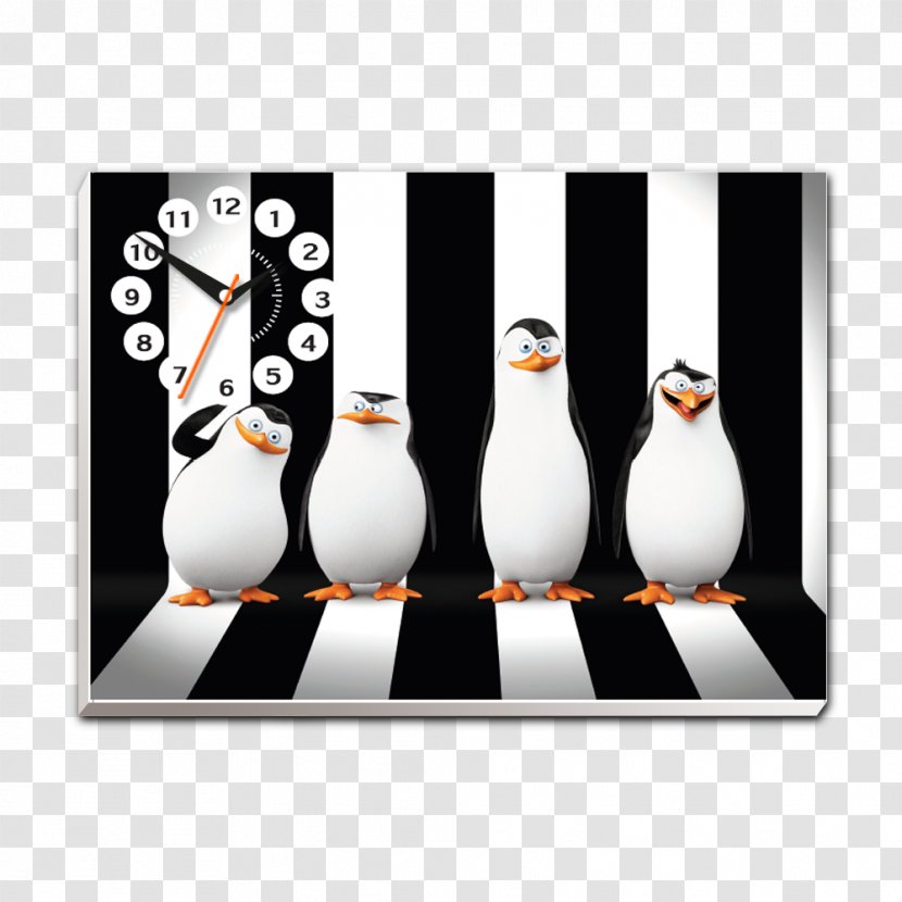 Penguin Kowalski Skipper Madagascar Desktop Wallpaper - Eric Darnell Transparent PNG