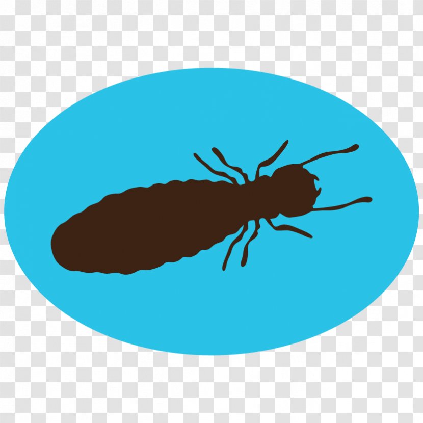 Insect Pest Control Mosquito Termite - Membrane Winged Transparent PNG
