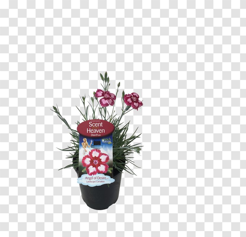Flowering Plant Flowerpot - Flower Transparent PNG