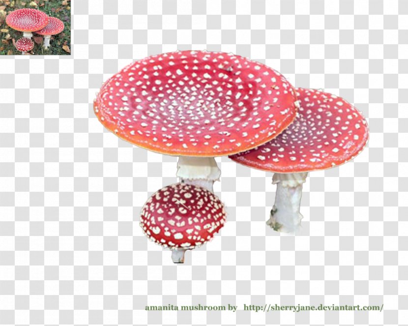 DeviantArt Mushroom Amanita Artist - Stock - Ten Li Peach Blossom Transparent PNG