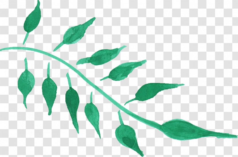 Leaf Watercolor Painting Clip Art - Twig - Leaves Transparent PNG