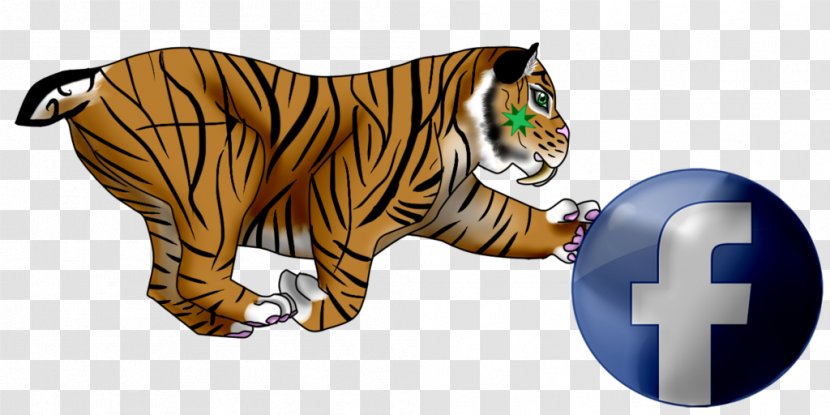 Tiger Big Cat Fauna Terrestrial Animal - Cats Transparent PNG