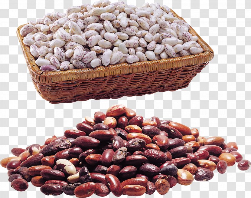 Common Bean Kidney Clip Art - Legumes - Beans Ecommerce Transparent PNG
