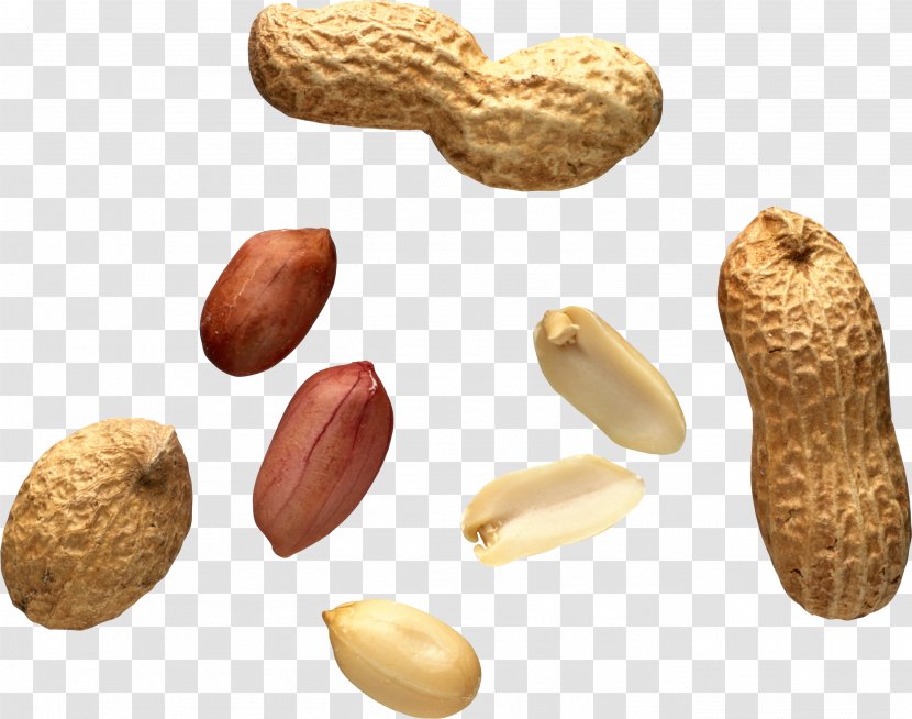 Peanut Tree Nut Allergy Food Transparent PNG