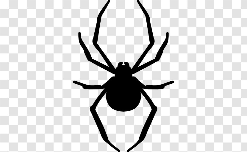 Stencil Spider Art Silhouette - Tangle Web - Vector Transparent PNG