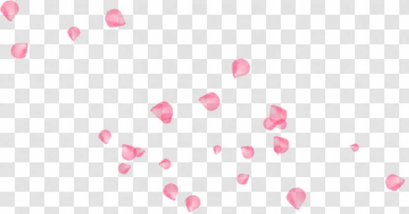 Software Petal Pattern - Red - Pink Floating Rose Decoration Transparent PNG