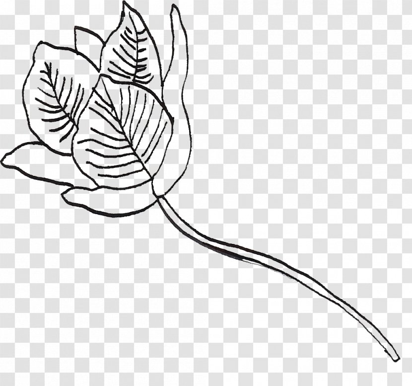 /m/02csf Leaf Clip Art Drawing Plant Stem - Area - Flower Sketch Transparent PNG