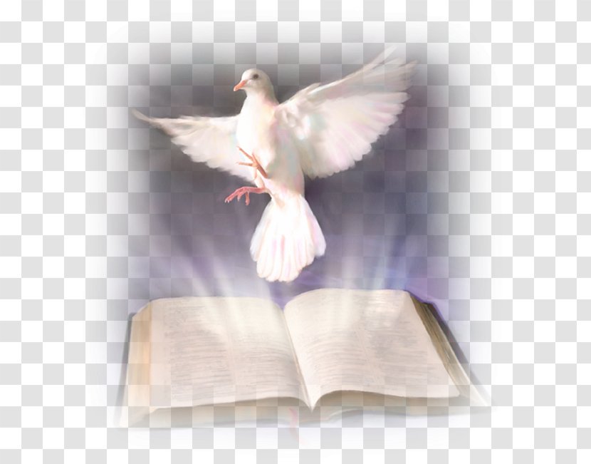 Bible Holy Spirit In Christianity Baptism With The God - Salvation Transparent PNG