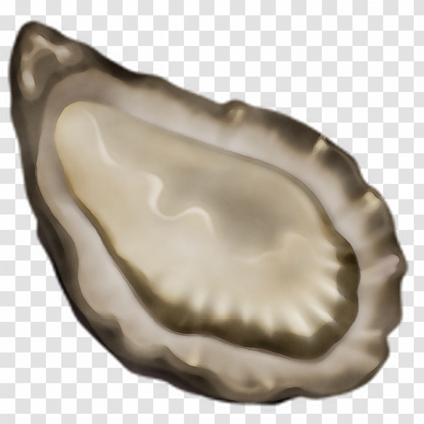 Oyster Mussel Clam Scallops Artifact Transparent PNG