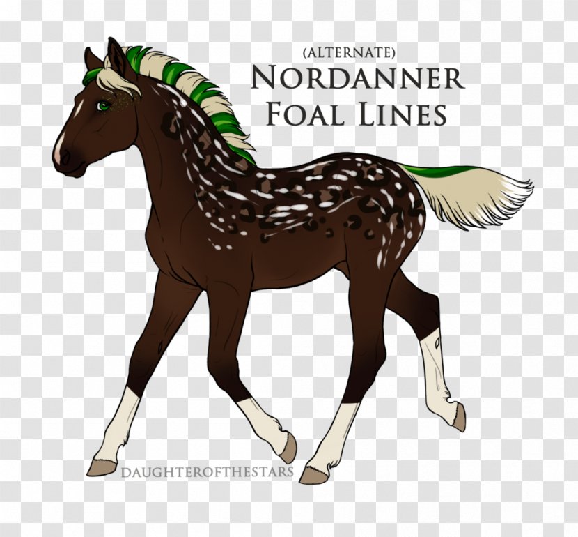 Stallion Foal Mare Mustang Colt - Animal Figure Transparent PNG