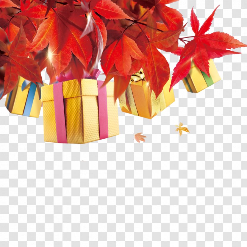 Autumn Gift - Coreldraw - Diagram Transparent PNG