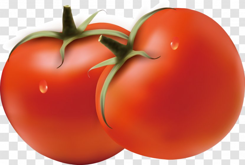 Plum Tomato Hamburger Bush Vegetable - Superfood Transparent PNG