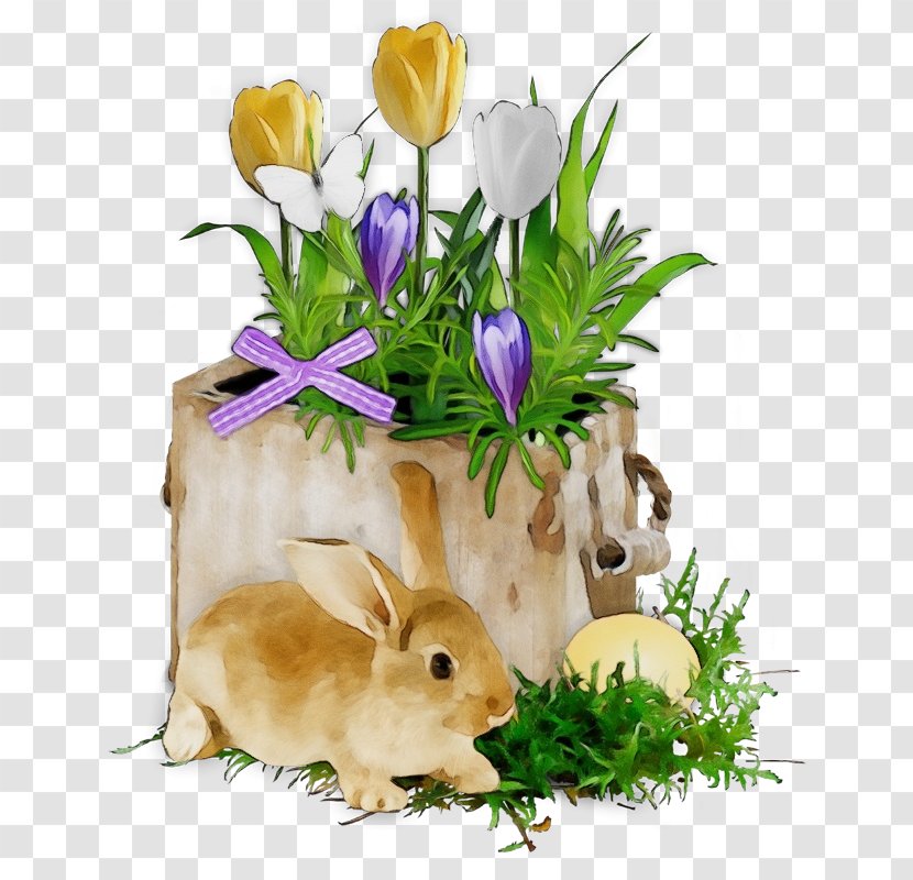Easter Bunny - Crocus - Domestic Rabbit Transparent PNG