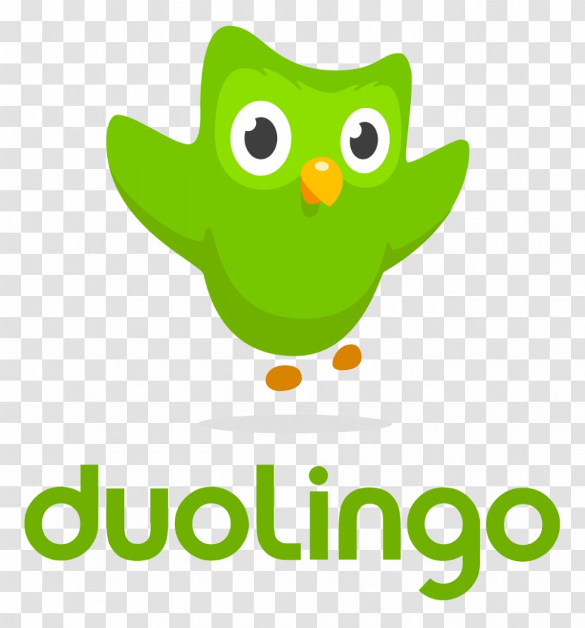 Duolingo Learning Mobile App Foreign Language Clip Art - Organism - Snap Chat Logo Transparent PNG