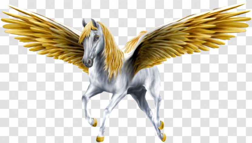 Pegasus Desktop Wallpaper Download Greek Mythology Transparent PNG