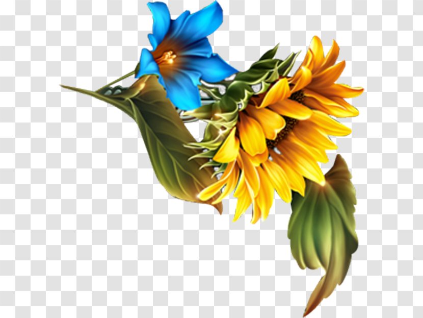 Floral Design Common Sunflower Cartoon - Painting - Flowers Transparent PNG