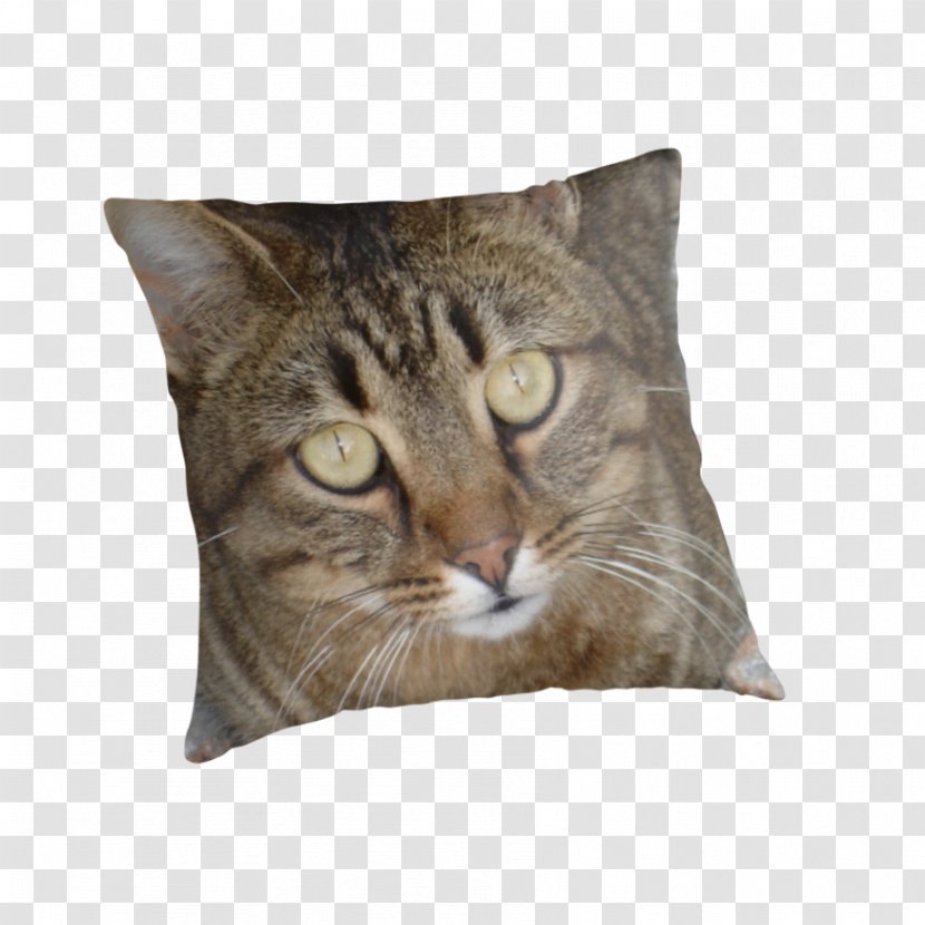 Tabby Cat Ocicat European Shorthair Pixie-bob California Spangled - Pillow - Red Transparent PNG