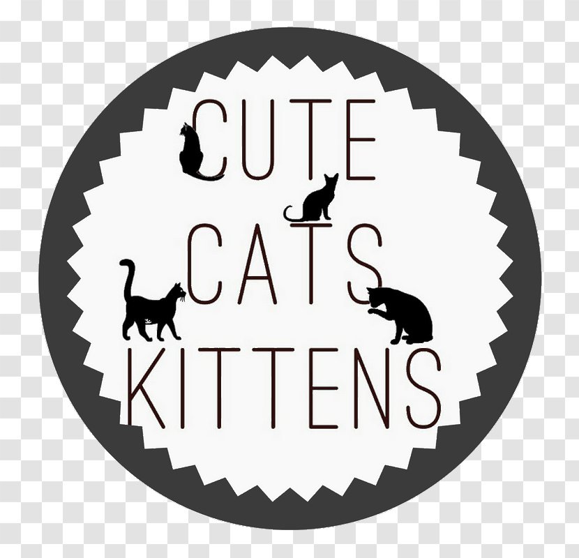 Cupcake Bakery Kitten Cat - Brand - Cake Transparent PNG