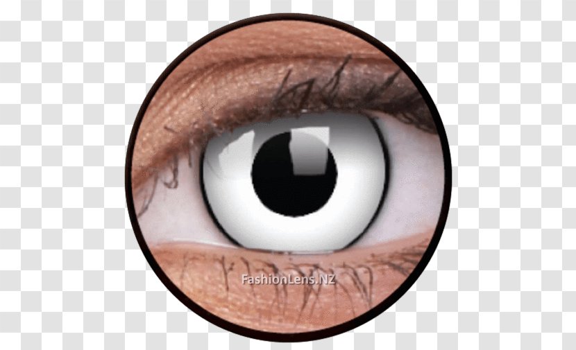 Contact Lenses Circle Lens Glasses Eye - Heart - Crazy Eyes Transparent PNG
