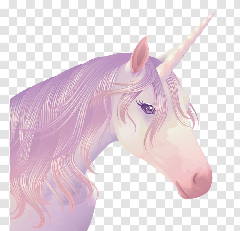 Crazy Unicorn Pegasus - Mane - Fantasy Transparent PNG