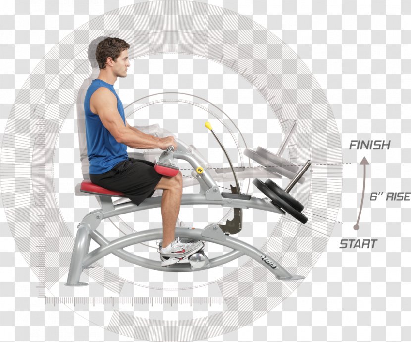 Exercise Machine Fitness Centre Weight Training Squat Deadlift - Calf - Bodybuilding Transparent PNG