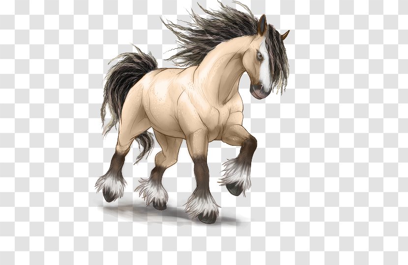 Mustang Stallion Foal Colt Mare - Mane - Gypsy Horse Transparent PNG