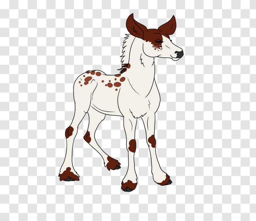 Mule Cattle Giraffe Pony Deer - Neck Transparent PNG