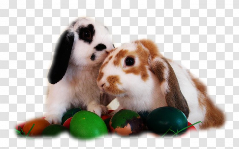 Desktop Wallpaper Easter Bunny Computers - Domestic Rabbit - Rabit Transparent PNG