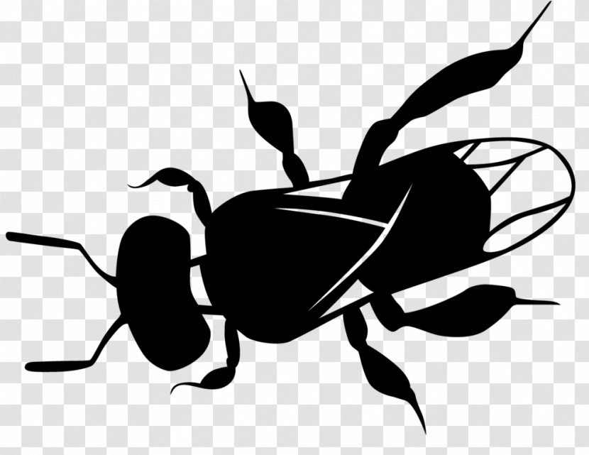 Insect Pest Membrane-winged Black-and-white Ant - Blackandwhite Transparent PNG