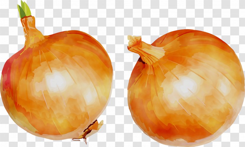 Yellow Onion Shallots Fruit Orange S.A. - Plant - Shallot Transparent PNG