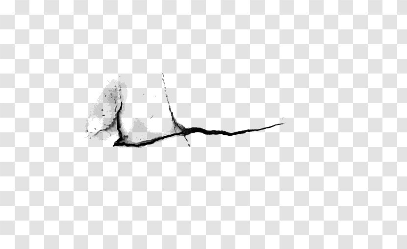 Beak White Feather Line - Wing Transparent PNG