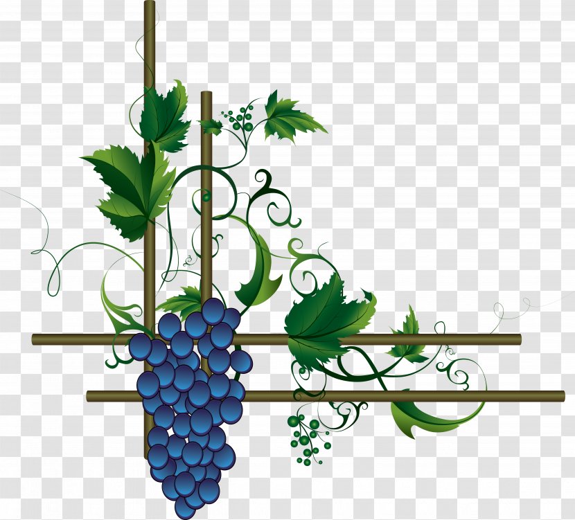 Wine Grape Leaves Merlot - Juice Transparent PNG