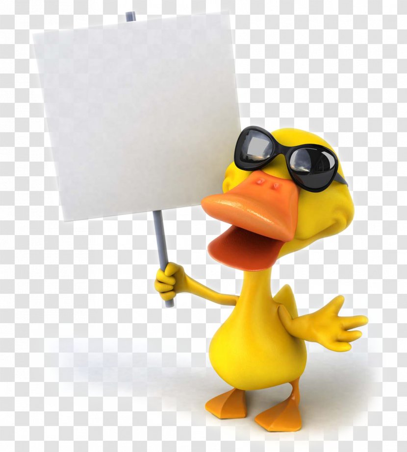 Duck Mallard Stock Photography Drawing - Cartoon Pictures Transparent PNG