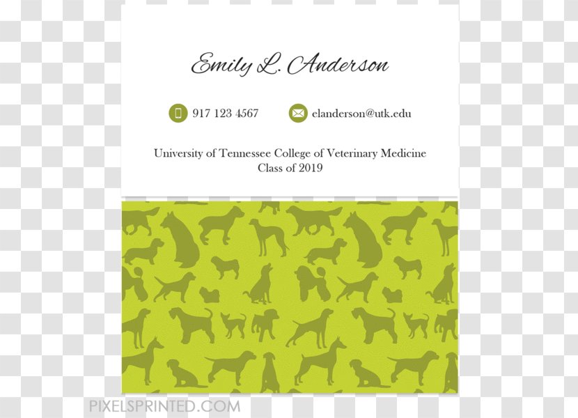 Pet Sitting Dog-Walking Business Dog Walking Grooming - Collar - Card Transparent PNG