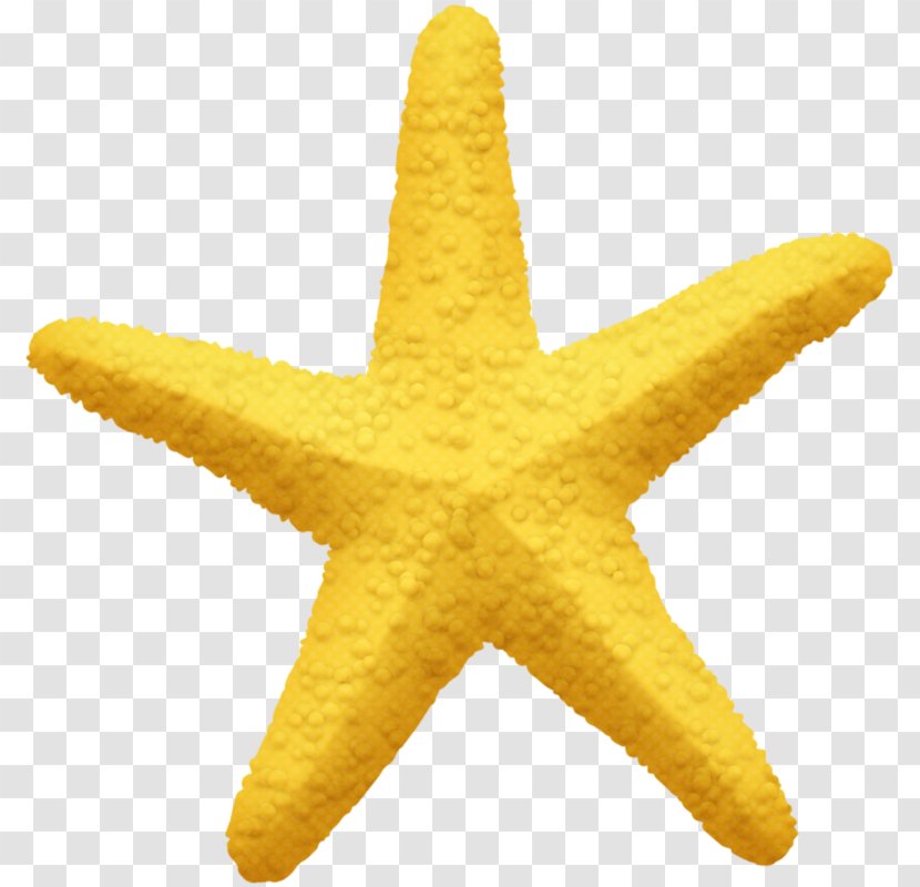 Starfish Pentagram Yellow Five-pointed Star - Vecteur - Hand-painted Transparent PNG