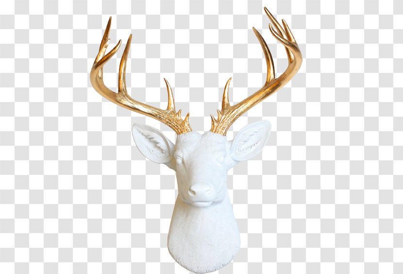 White-tailed Deer Wall Decal Taxidermy Antler Transparent PNG