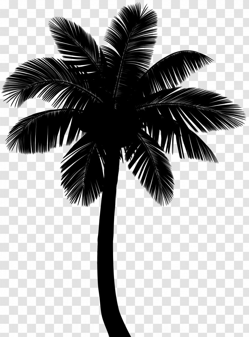 Asian Palmyra Palm Coconut Silhouette Borassus - Elaeis Transparent PNG