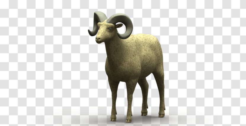 Argali Sheep Goat Wildlife Terrestrial Animal - Horn Transparent PNG