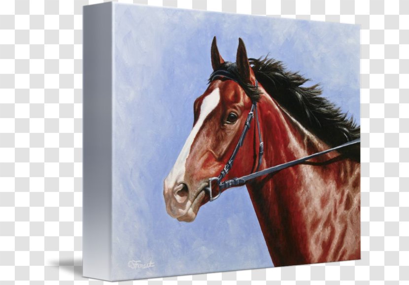 Thoroughbred Stallion American Paint Horse Oil Painting - Racing Transparent PNG