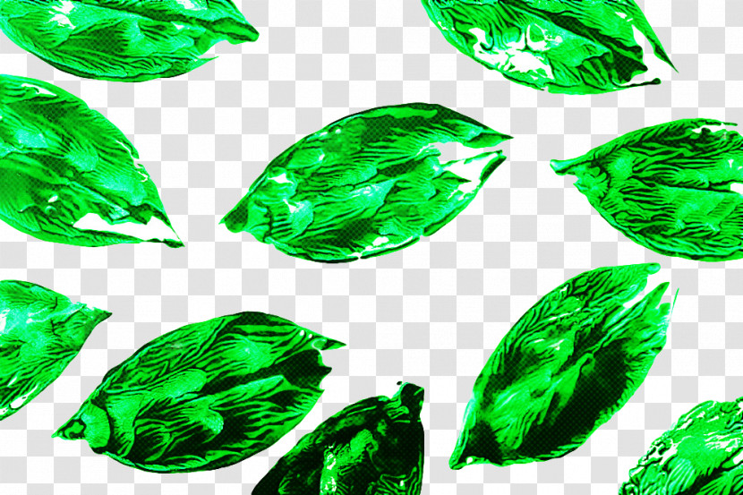 Green Emerald Leaf Gemstone Transparent PNG