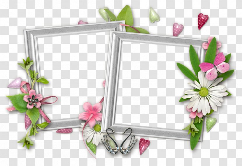 Picture Frames Floral Design Image - Rectangle - Blossom Transparent PNG