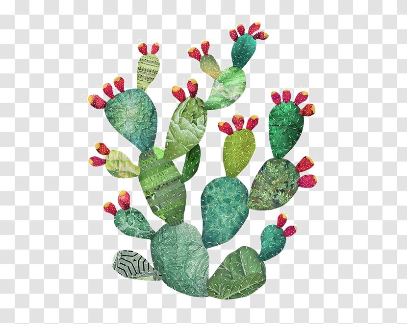 Cactaceae Watercolor Painting Art Illustration - Printing - Cactus Transparent PNG