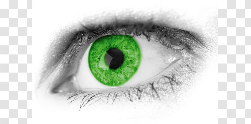 Eye Tracking Addiction Visual Perception Neuro Kinetics Inc - Heart - Color Cliparts Transparent PNG