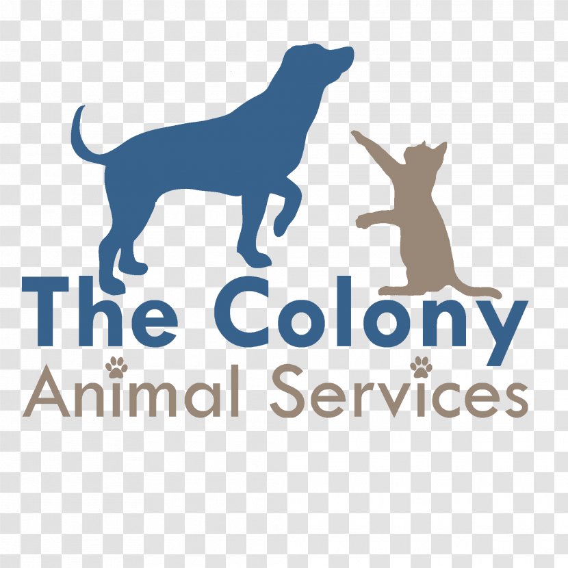 Dog Animal Shelter Veterinarian Rescue Group Spay Illinois Pet Well Clinic - Nokill Transparent PNG