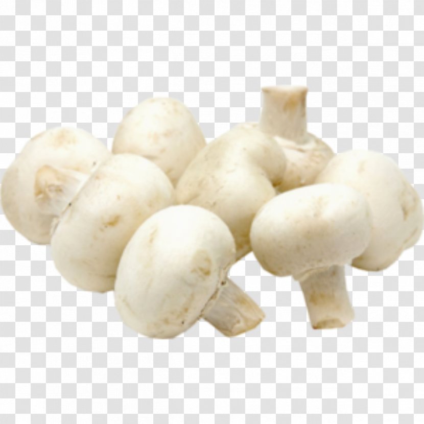 Common Mushroom Shiitake Edible Vegetable Transparent PNG
